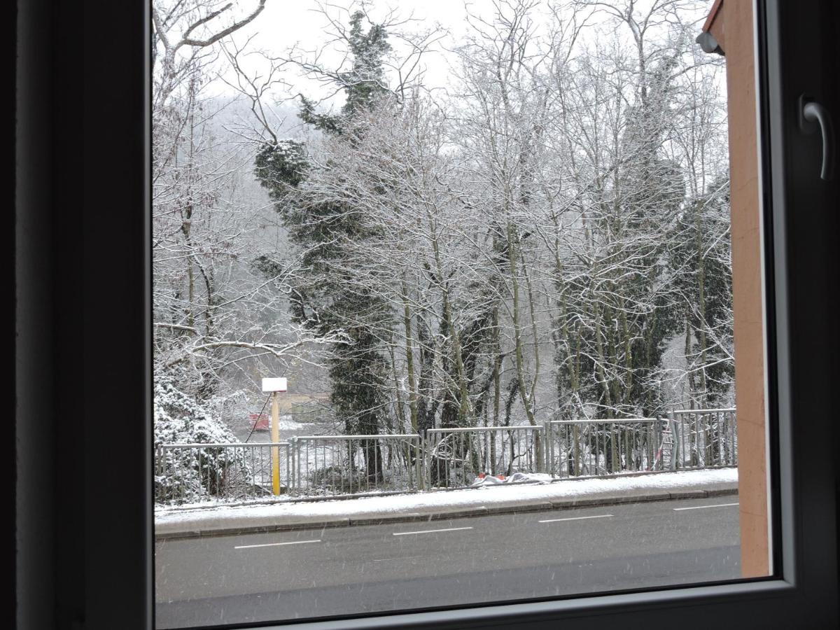 Ferienwohnungen Haus Scheidter 40 Saarbrücken Buitenkant foto